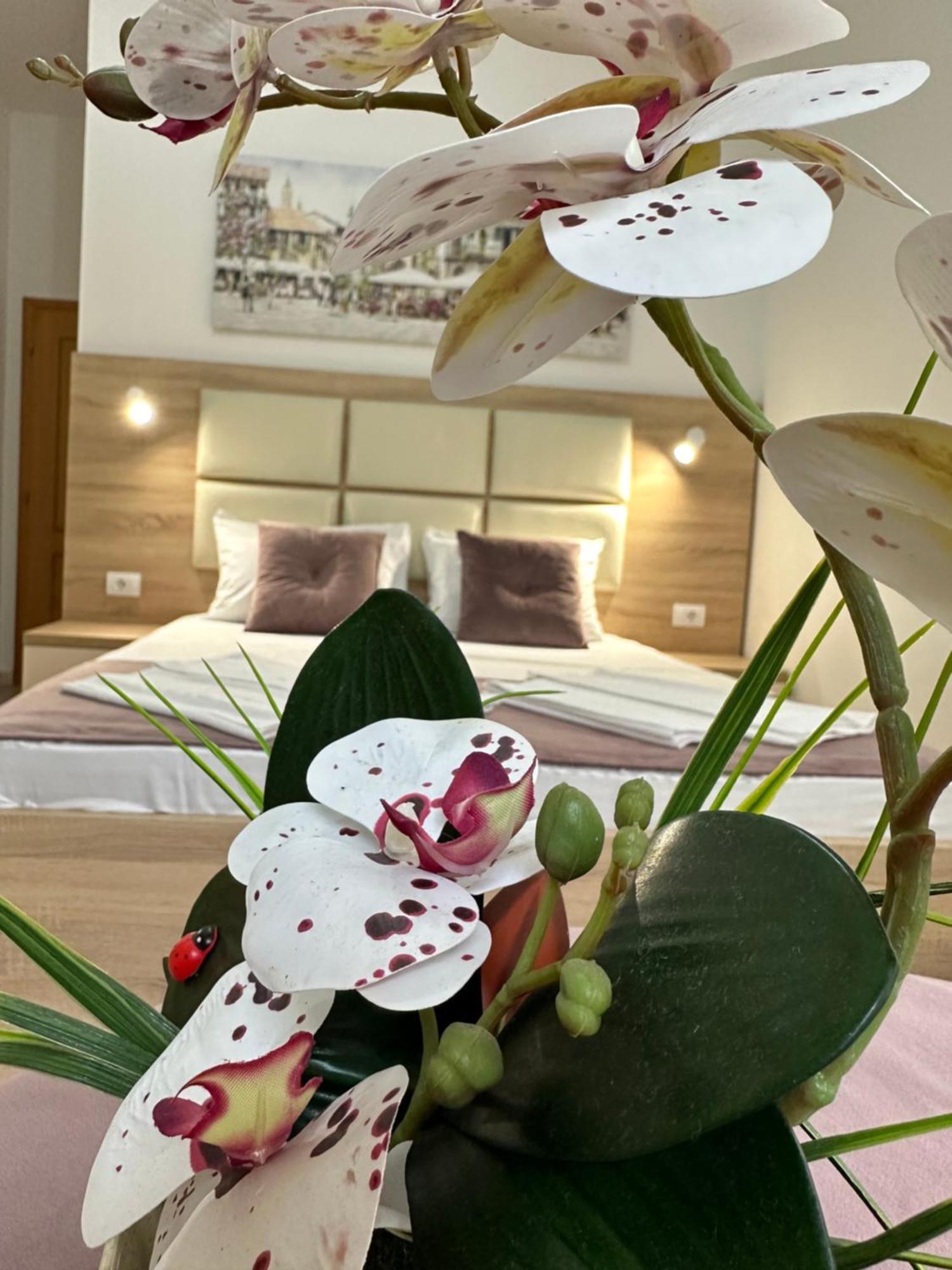 Apartments Sija Улцинь Экстерьер фото